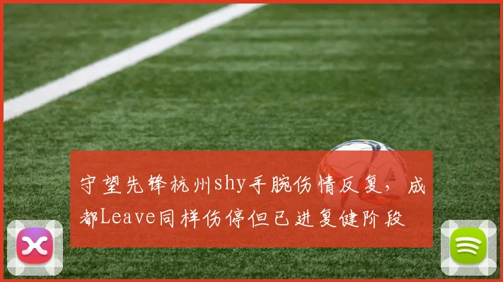 守望先锋杭州shy手腕伤情反复，成都Leave同样伤停但已进复健阶段